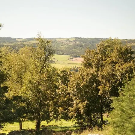 L'Ange : Entre Monts Et Vallees Retournac Exterior photo