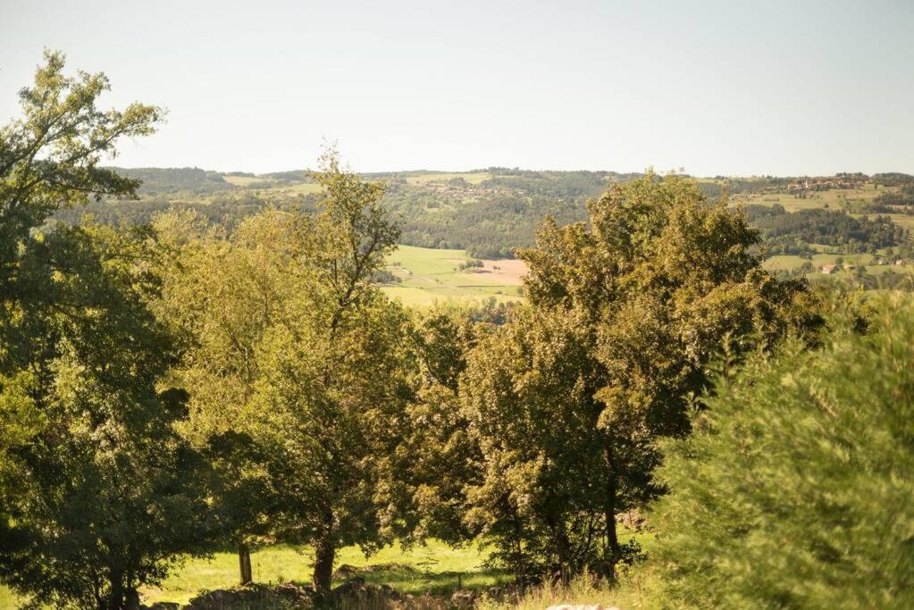 Ferienhaus L'ange : Entre Monts Et Vallees Retournac