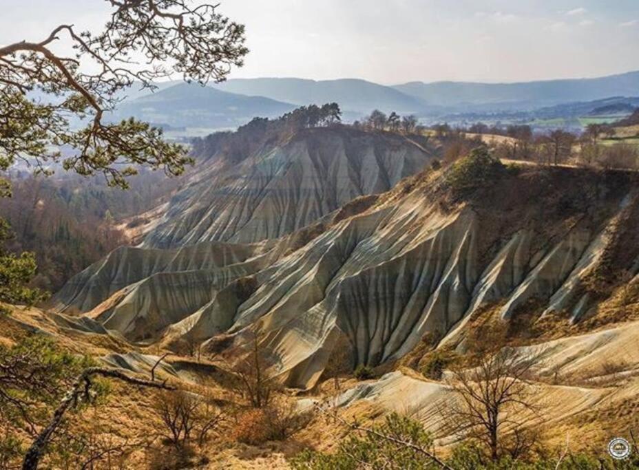 L'ange : Entre Monts Et Vallees Retournac